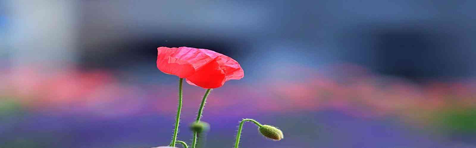 PA视讯集团官网